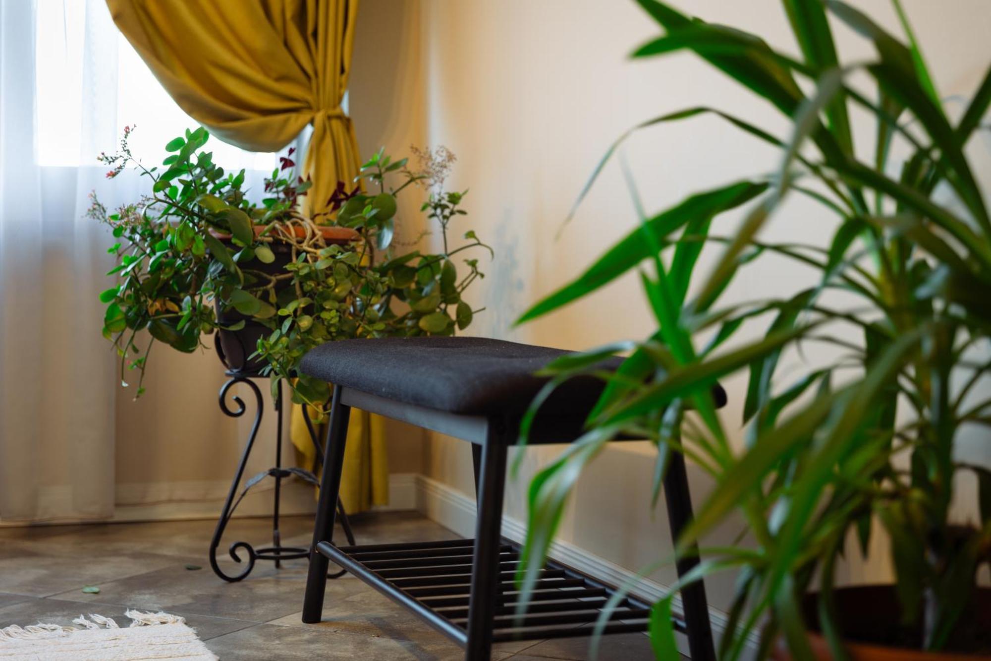 Dervent Apartment فيليكو ترنوفو المظهر الخارجي الصورة